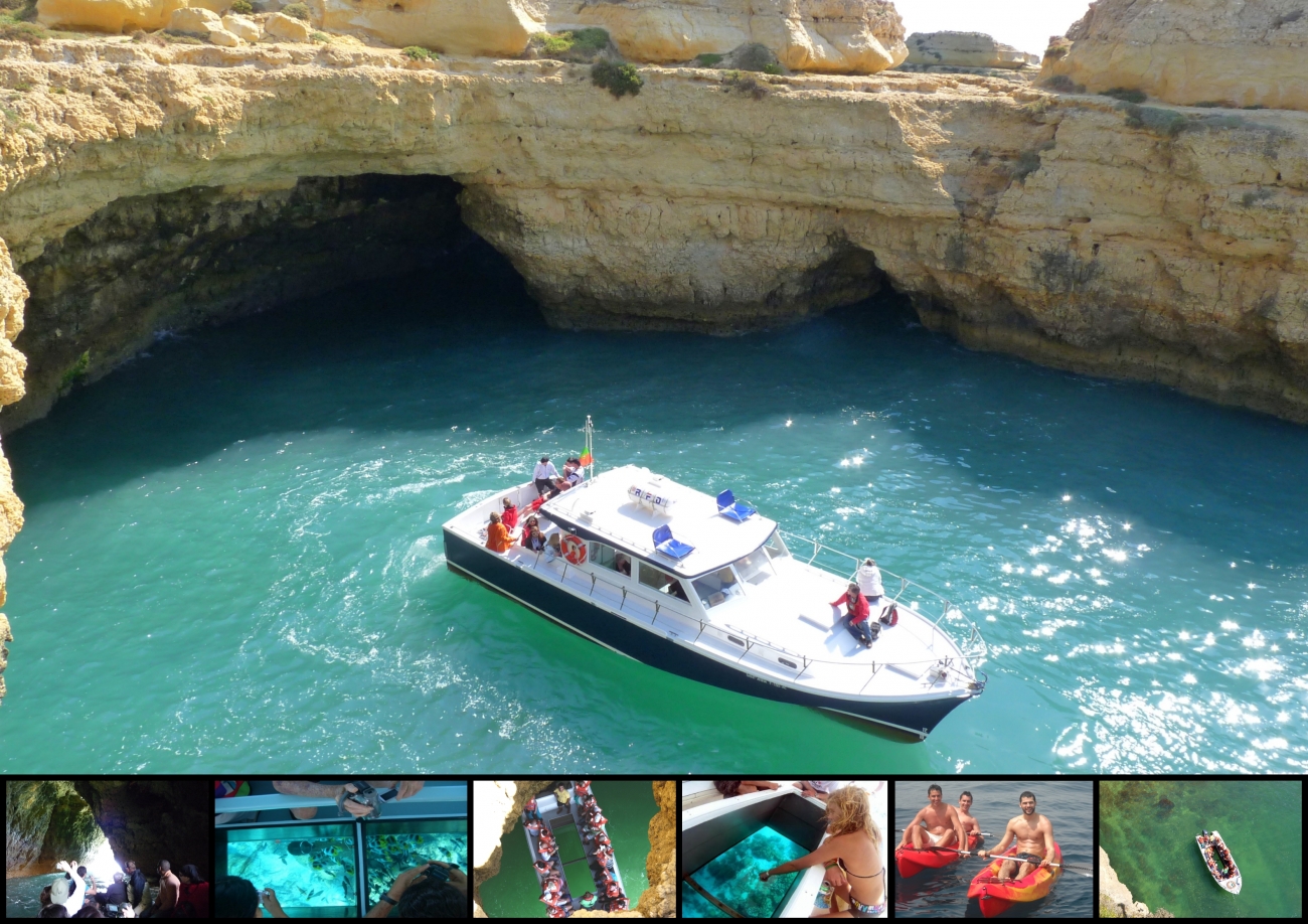 Algarve Seafaris